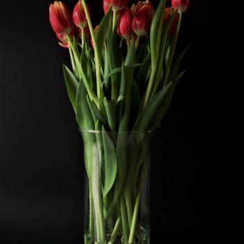 Tekening getiteld "Vase aux tulipes" door Patrick Casado, Origineel Kunstwerk, Potlood