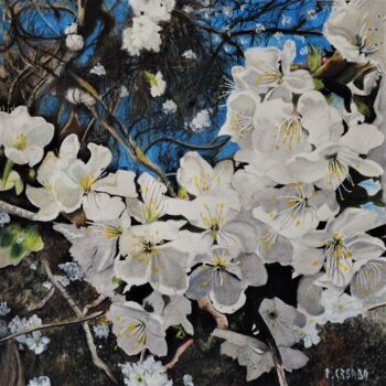 Dessin intitulée "Cerisier en fleur" par Patrick Casado, Œuvre d'art originale, Crayon