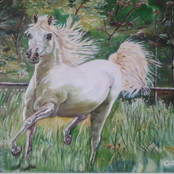 Painting titled "Cavalo  branco." by Catarina  Prado., Original Artwork, Oil