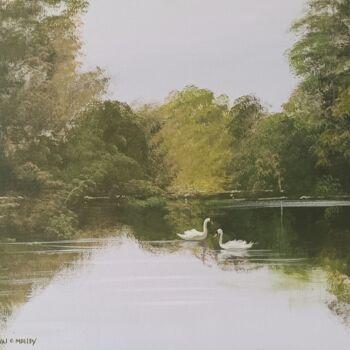 Painting titled "Ballynahinch swans," by Cathal O Malley, Original Artwork, Acrylic