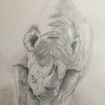 Dessin intitulée "rhinocéros chargeant" par Cathelin, Œuvre d'art originale, Graphite