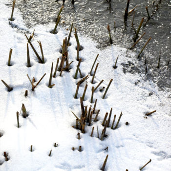 Photographie intitulée "Au-bord-du-lac-gelé…" par Catherine Boutin, Œuvre d'art originale, Photographie numérique