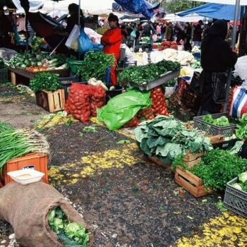 Photographie intitulée "Portugal. Marché de…" par Catherine Boutin, Œuvre d'art originale