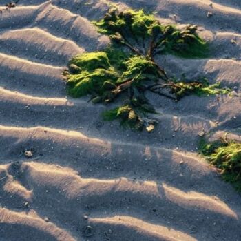 Photographie intitulée "Marée basse" par Catherine Boutin, Œuvre d'art originale