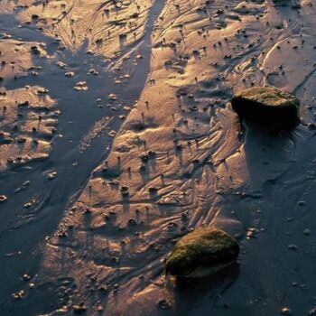 Photographie intitulée "Marée basse" par Catherine Boutin, Œuvre d'art originale