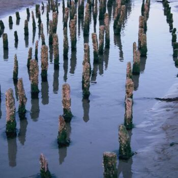 Photographie intitulée "Pieux à marée basse" par Catherine Boutin, Œuvre d'art originale