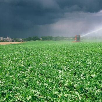 Photographie intitulée "Vue sur Yèvre-le- C…" par Catherine Boutin, Œuvre d'art originale