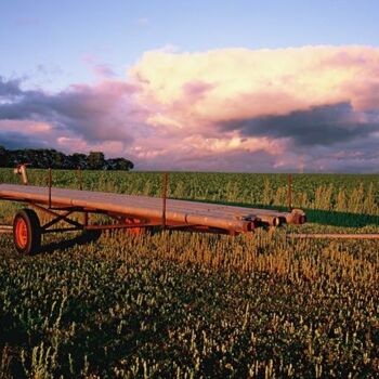 Photography titled "Beauce. Champs, le…" by Catherine Boutin, Original Artwork