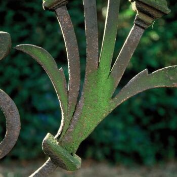 Photographie intitulée "Palme verte. Strasb…" par Catherine Boutin, Œuvre d'art originale