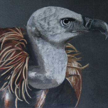 Schilderij getiteld "Le vautour" door Catherine Costet (Lccat), Origineel Kunstwerk, Pastel