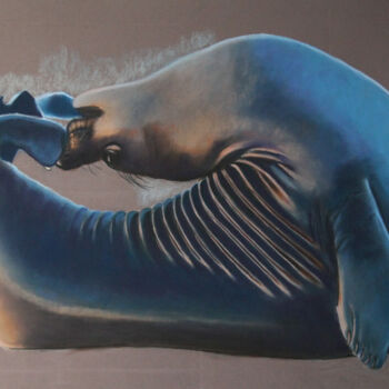 Painting titled "Le phoque" by Catherine Costet (Lccat), Original Artwork, Pastel