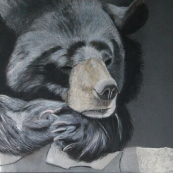 Картина под названием "La sieste de l'ours…" - Catherine Costet (Lccat), Подлинное произведение искусства, Пастель
