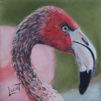 Malarstwo zatytułowany „Flamingo le flamand…” autorstwa Catherine Costet (Lccat), Oryginalna praca, Pastel