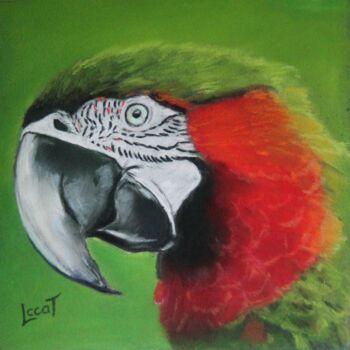 Painting titled "Macaw" by Catherine Costet (Lccat), Original Artwork, Pastel