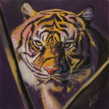 Painting titled "Shere Kahn. Le tigre" by Catherine Costet (Lccat), Original Artwork, Pastel