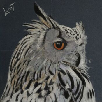 Painting titled "Le hibou 2" by Catherine Costet (Lccat), Original Artwork, Pastel