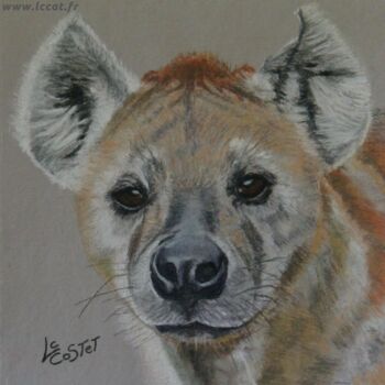 Peinture intitulée "La hyène" par Catherine Costet (Lccat), Œuvre d'art originale, Pastel