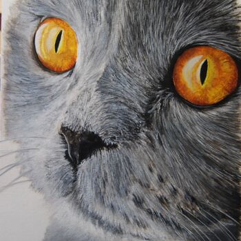 Painting titled "chartreux1.png" by Catherine Digue - Turpin, Original Artwork, Gouache