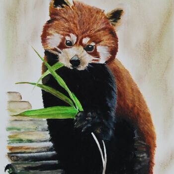 Painting titled "panda-roux.png" by Catherine Digue - Turpin, Original Artwork, Gouache
