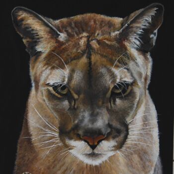 「puma-cougar.png」というタイトルの絵画 Catherine Digue - Turpinによって, オリジナルのアートワーク, グワッシュ水彩画