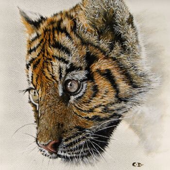 Peinture intitulée "jeune-tigre1.jpg" par Catherine Digue - Turpin, Œuvre d'art originale, Gouache