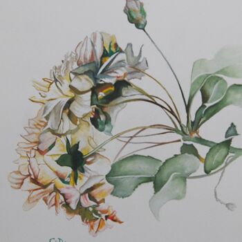 Pittura intitolato "roses.jpg" da Catherine Digue - Turpin, Opera d'arte originale, Gouache