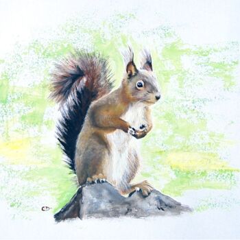 Peinture intitulée "écureuil curieux.jpg" par Catherine Digue - Turpin, Œuvre d'art originale, Gouache