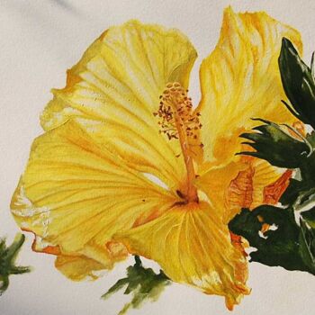 Painting titled "hibiscus d'Alexa.jpg" by Catherine Digue - Turpin, Original Artwork, Gouache