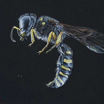 Painting titled "frelon" by Catherine Digue - Turpin, Original Artwork, Gouache