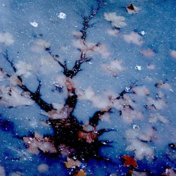 Fotografía titulada "décembre" por Catherine Gendron, Obra de arte original