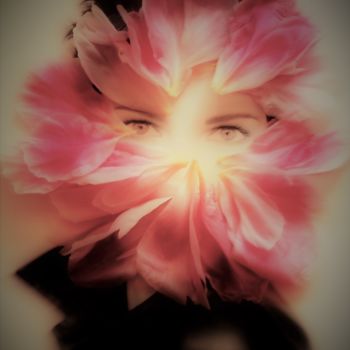 Photographie intitulée "Rose pivoine" par Catherine Jubert Asencio, Œuvre d'art originale, Photographie numérique