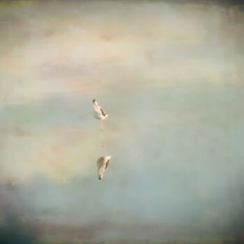 Фотография под названием "Between Heaven and…" - Catherine Lefrancq, Подлинное произведение искусства, Пленочная фотография…
