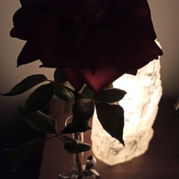 Photographie intitulée "La Rose Noire" par Catherine Oliver (Miss kat), Œuvre d'art originale, Photographie numérique