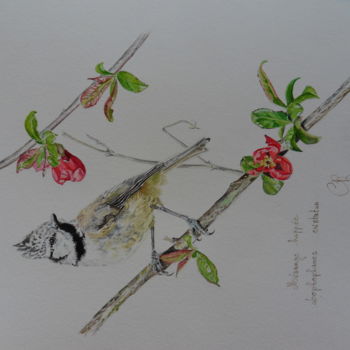 Painting titled "mésange huppée" by Catherine Reybard, Original Artwork, Watercolor