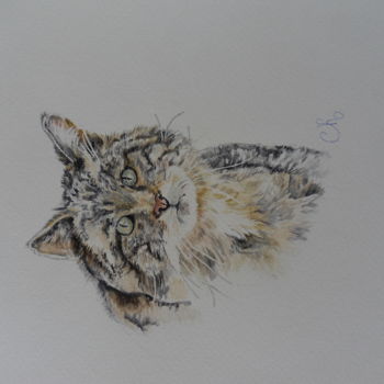 Pintura intitulada "aquarelle chat de g…" por Catherine Reybard, Obras de arte originais, Aquarela