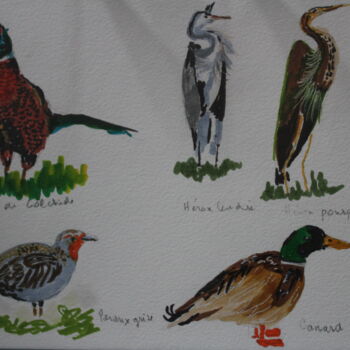 Drawing titled "oiseaux-de-nos-fore…" by Catherine Souet Bottiau, Original Artwork, Marker