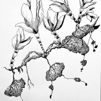 Drawing titled "tuberculoide1" by Catherine Cazaentre, Original Artwork