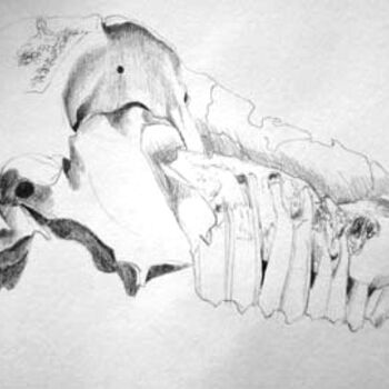 Σχέδιο με τίτλο "Skull 1" από Catherine Dunn, Αυθεντικά έργα τέχνης