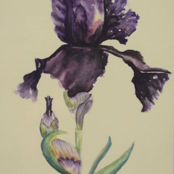 Pintura intitulada "Iris" por Peinturecath, Obras de arte originais, Aquarela Montado em Vidro