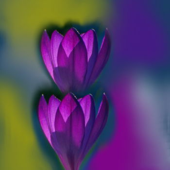 Painting titled "CROCUS" by Catherine Wernette, Original Artwork