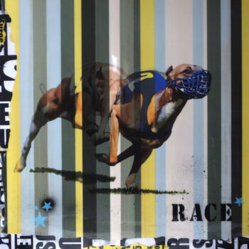 「Race」というタイトルのコラージュ Cathie Berthonによって, オリジナルのアートワーク, 写真モンタージュ ウッドストレッチャーフレームにマウント