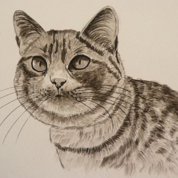 Painting titled "CHAT tabby" by Cathou-Bazec, Original Artwork, Ink