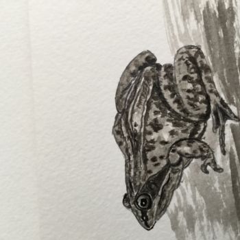 Drawing titled "GRENOUILLE" by Cathou-Bazec, Original Artwork, Ink