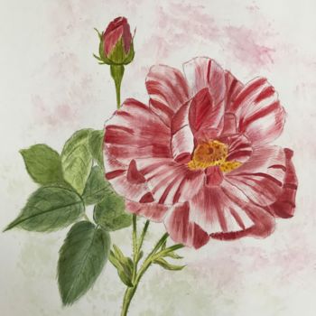 Pintura intitulada "ROSE SAUVAGE" por Cathou-Bazec, Obras de arte originais, Aquarela