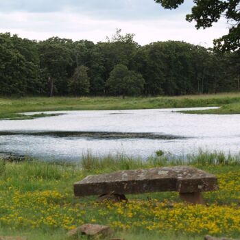 Fotografia intitolato "Beautiful Pond" da Cathy Robertson, Opera d'arte originale, Fotografia non manipolata