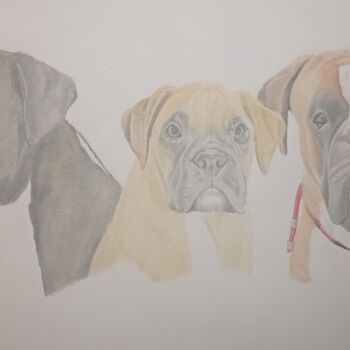 Drawing titled "Boxers" by Cécile Lefebvre (Cey's Art), Original Artwork, Pencil