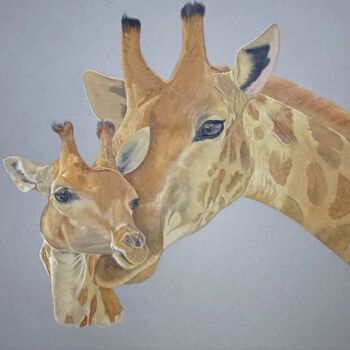 "Girafe et girafon" başlıklı Tablo Cécile Lefebvre (Cey's Art) tarafından, Orijinal sanat, Suluboya