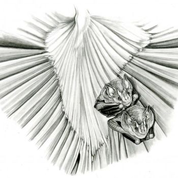 Desenho intitulada "chauve-souris" por Cécile Aquisti, Obras de arte originais