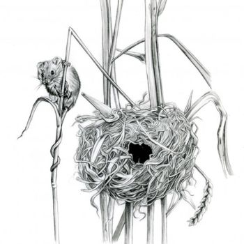 Σχέδιο με τίτλο "Rat des moisson" από Cécile Aquisti, Αυθεντικά έργα τέχνης