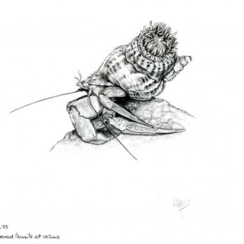 Desenho intitulada "Bernard l'ermite" por Cécile Aquisti, Obras de arte originais